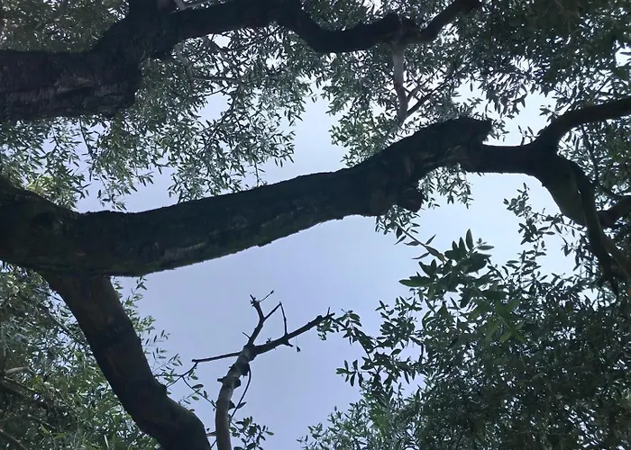 Podere Nonno Franco Apartamento *